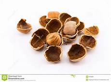 Cracked Shell Hazelnuts