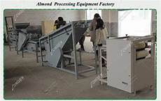 Hazelnut Processing Machine