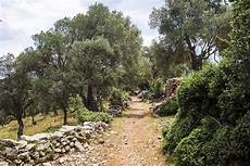 Datça Almonds