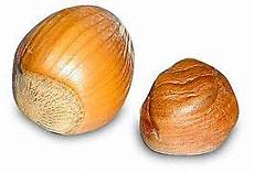 Hazelnut Without Shell
