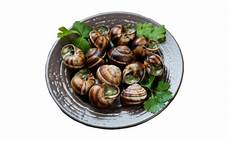 Hazelnut Without Shell