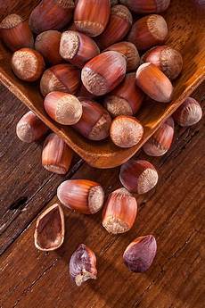 Hazelnut