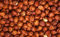 Hazelnuts In Shell