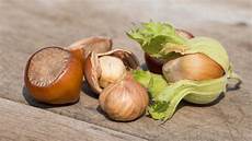 Roasted Hazelnut Inshell