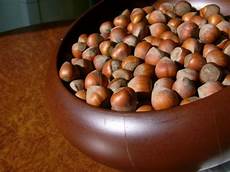 Roasted Inshell Hazelnut