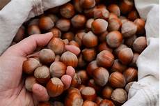 Roasted Inshell Hazelnut