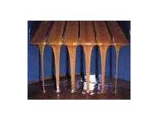 Sliced Hazelnut Kernels