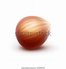 Unshelled Hazelnut Kernel