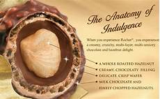 Wafer With Hazelnut